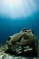 Anthrpocene. A cement replica of a VW beetle in the Museu... by Jason Decaires Taylor 